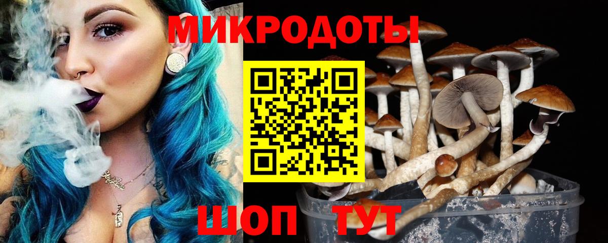где найти   Псилоцибиновые грибы Cubensis  Вход с VPN  Кумертау 