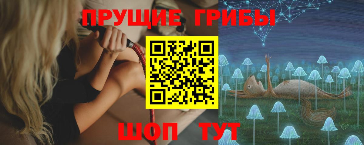 Псилоцибиновые грибы Psilocybe Кумертау